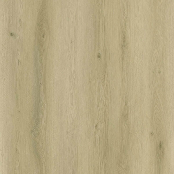 Klik PVC van Sense in de kleur EXL510